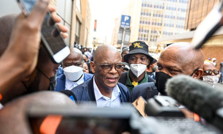 zondo:-ace-magashule-and-mosebenzi-zwane-helped-guptas-milk-vrede-dairy-project