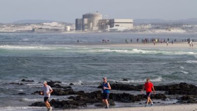 good-news-about-load-shedding-—-koeberg-nuclear-power-station-unit-to-come-online-soon