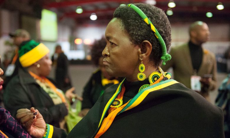 anc-women’s-league-unlikely-to-elect-new-leaders-before-party-holds-december-national-conference