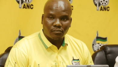 a-glimpse-into-the-anc’s-kwazulu-natal-organisational-report