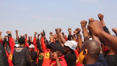 numsa-suspensions-are-‘a-tool-to-frustrate-the-democratic-process’,-says-suspended-second-deputy-president-in-her-affidavit