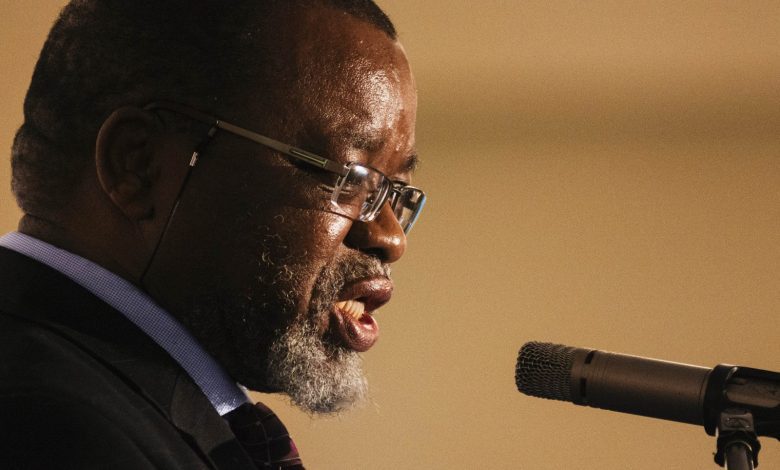‘alpha-ceo’-andre-de-ruyter-is-not-the-fixer-eskom-needs,-says-gwede-mantashe