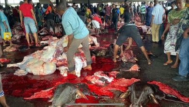 special-report:-inside-slaughterhouses-where-animal-wastes-fuel-greenhouse-gas-emission