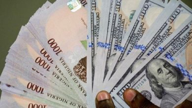 naira-sees-small-rebound-after-record-fall-as-senate-summons-cbn-governor