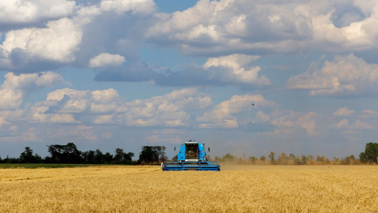 ukraine’s-zelenskyy-says-harvest-could-be-halved-by-war