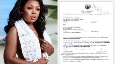 afia-schwarzenegger-sues-klm-airlines-for-removing-her-from-flight-while-drunk