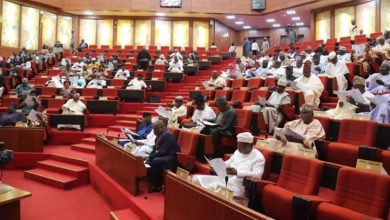 just-in:-senate-meets-with-security-chiefs