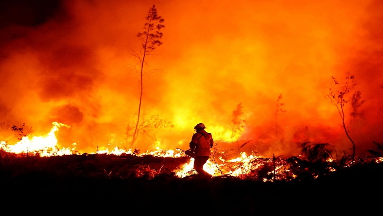 france-battles-‘monster’-wildfire-as-heatwaves-scorch-europe