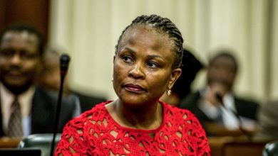 public-protector-coo-ordered-to-shred-draft-report-on-cr17-funding