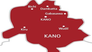 police-arrest-331-suspected-criminals-in-kano