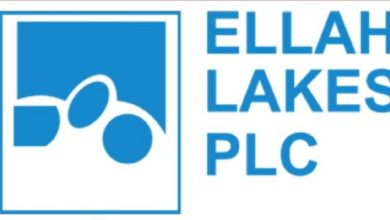 ellah-lakes-takes-over-enugu-owned-adarice
