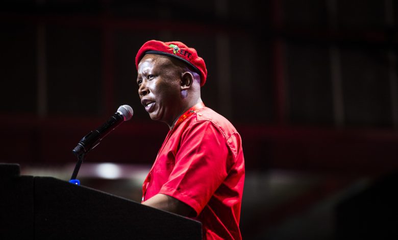 eff-will-survive-julius-malema:-new-gauteng-chair-talks-succession