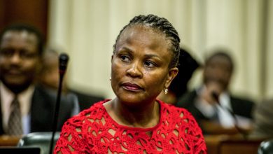 can-mkhwebane-suspend-order-on-constitutionality?