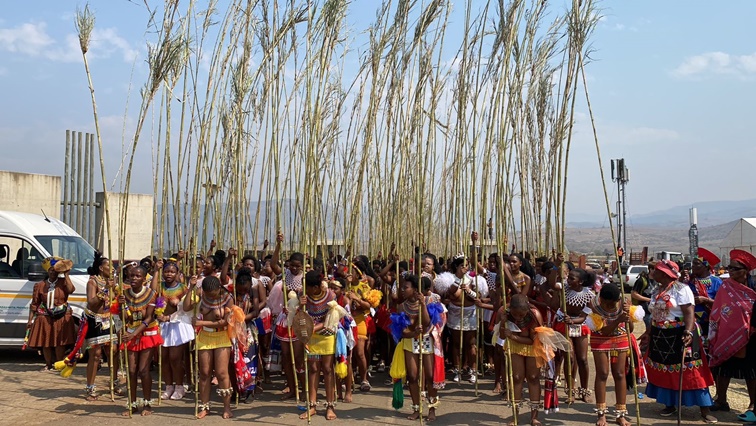 kzn-reed-dance-in-pictures:-umkhosi-womhlanga