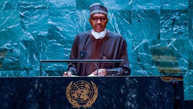 new-financing-framework-will-improve-sdgs-funding-without-increasing-public-debt-—-buhari