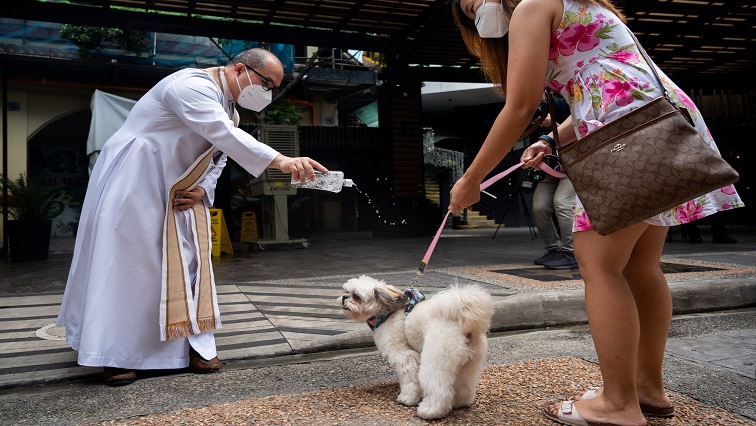 pet-weddings-highlight-animal-blessing-ceremony-in-the-philippines