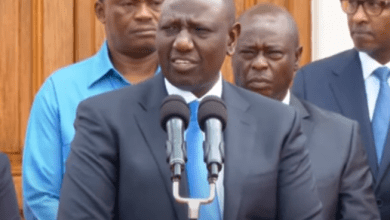 president-ruto-has-authorized-billions-for-kenya-to-invest-in-biotech-foods