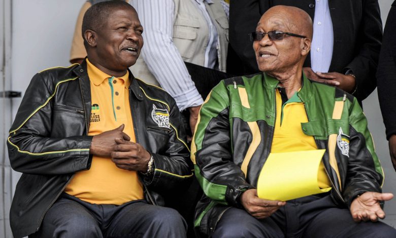 david-mabuza-begs-zuma-for-his-backing