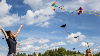 kite-enthusiasts-converge-on-sedgefield’s-annual-kite-festival-to-raise-funds