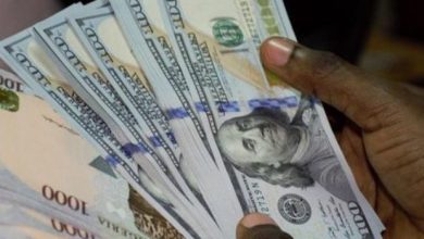 naira-makes-small-gain-after-record-fall