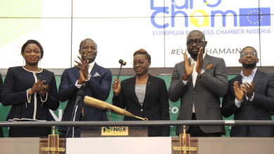 nigerian-stocks-crash-to-nine-month-low-as-investors-expect-q3-results