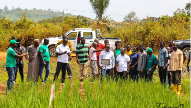 agric-minister-impressed-with-general-overview-of-agriculture-in-oti-region