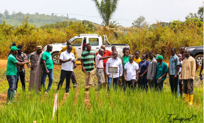 agric-minister-impressed-with-general-overview-of-agriculture-in-oti-region