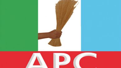 i-will-prioritise-women-–-niger-apc-gov-candidate