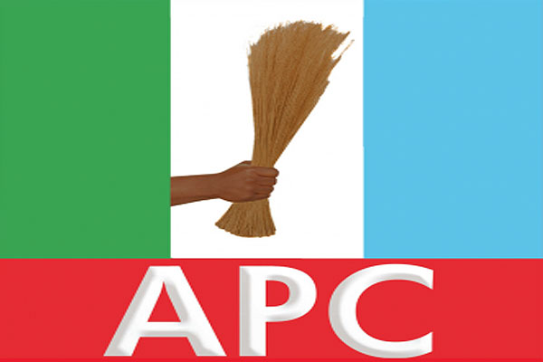 i-will-prioritise-women-–-niger-apc-gov-candidate