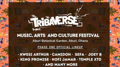 tribaverse:-a-festival-for-music,-arts,-culture,-and-positive-change