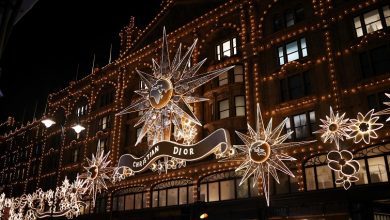 dior-transforms-harrods-in-london-with-glittering-holiday-light-display