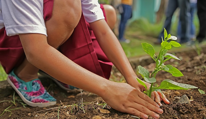 children-it’s-time-to-be-a-hero-and-plant-a-tree:-why-children-are-our-pioneers-in-fighting-climate-change