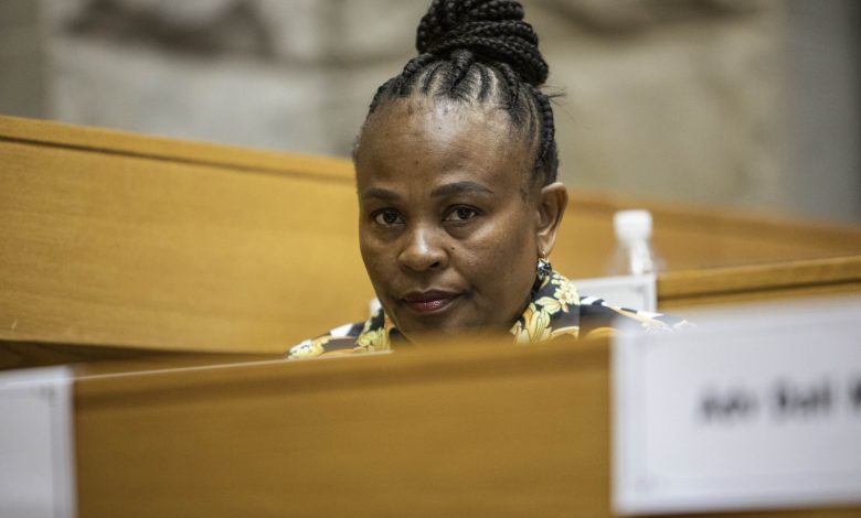 mkhwebane’s-suspension-rests-on-facts,-not-optics,-concourt-hears