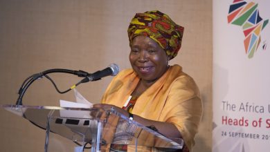 court-orders-dlamini-zuma-to-disclose-records-leading-to-covid-19-regulations