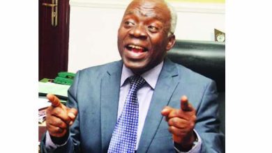 efcc,-icpc-competent-to-investigate-state-accounts-–-falana