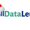 dataleum-wins-award-at-aot-lagos-4.0