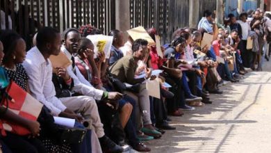 kenya’s-job-market-continues-to-stagnate-despite-economic-success