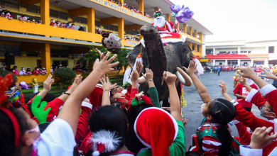 santa-delivers-presents-on-elephants-in-thailand