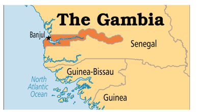 coup-attempt:-gambia-charges-eight-soldiers-with-treason