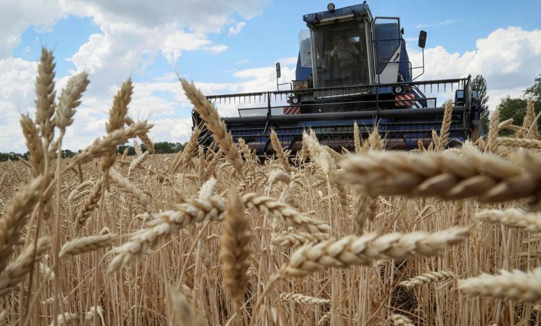 nigeria-set-to-receive-grain-imports-from-ukraine-despite-the-war