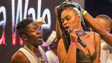 ‘i-didn’t-know-i-have-lions-guarding-majesty’-–-michy-replies-shatta-wale