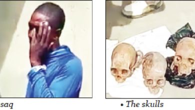 i-found-human-skulls-in-gutter-–-suspect
