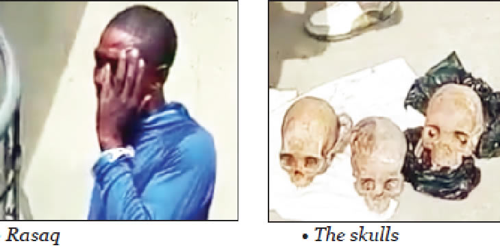 i-found-human-skulls-in-gutter-–-suspect