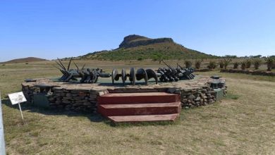 zuma-joins-amazulu-king-in-commemorating-the-battle-of-isandlwana