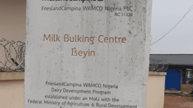 frieslandcampina-highlights-e63m-exchange-rate-loss-in-nigerian-operation