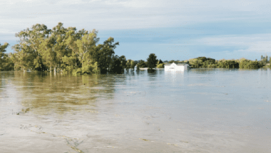 four-vaal-dam-sluice-gates-closed-as-water-levels-decrease