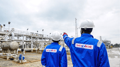 seplat-appoints-independent-non-executive-director