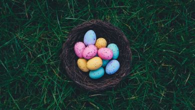 5-fun-easter-activities-to-do