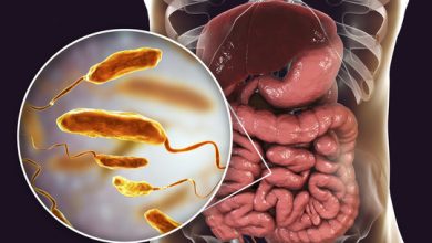 10-little-known-facts-about-the-bacterium-that-causes-cholera