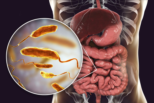 10-little-known-facts-about-the-bacterium-that-causes-cholera